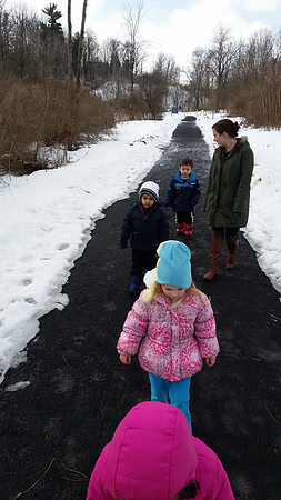 Winter Walk
